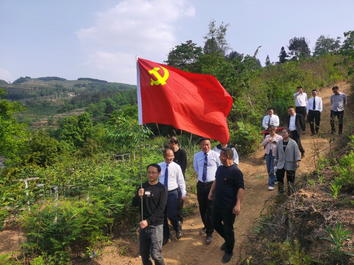 党建动态 | 麦格、养正开展党建共建暨师德师风专项教育主题活动